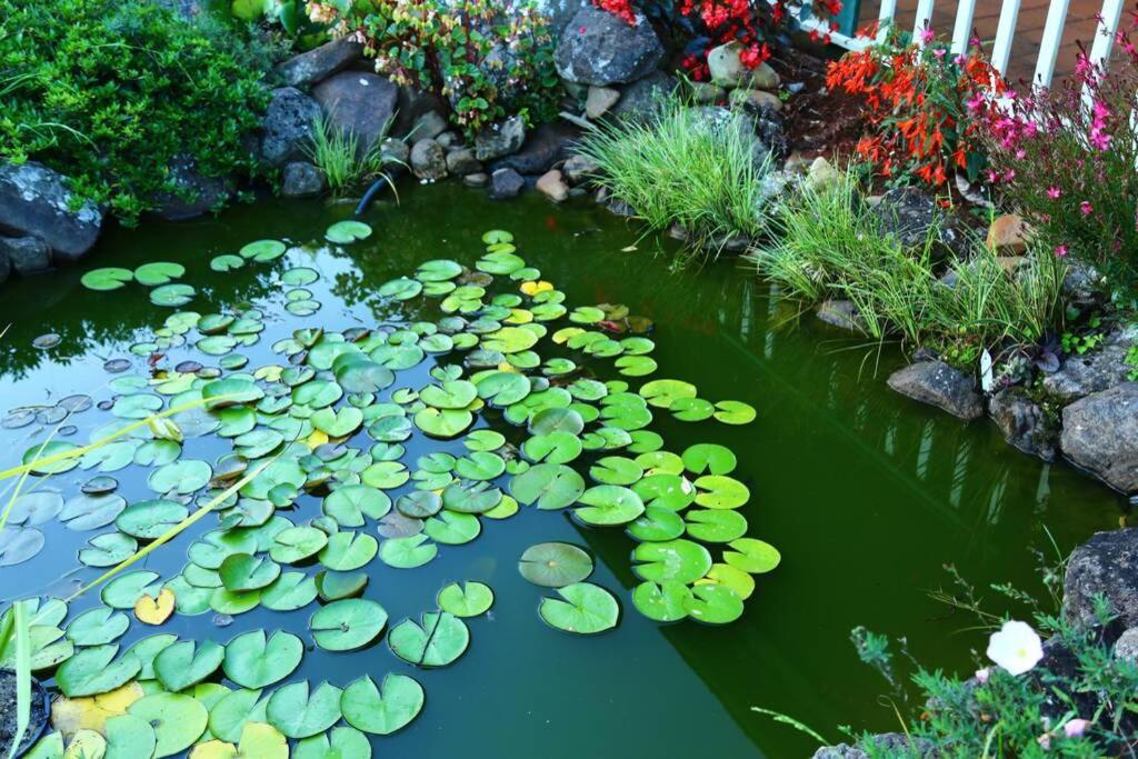 Bundara - Idyllic Getaway In The Mountains Apartment ภูเขาแทมโบรีน ภายนอก รูปภาพ